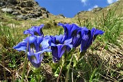 Al Passo di Budria (2216 m) al Rifugio Balicco e Bivacco Zamboni ad anello il 20 maggio 2020- FOTOGALLERY